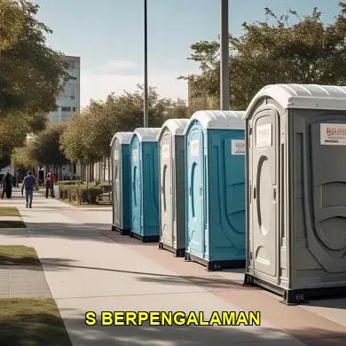 s berpengalaman